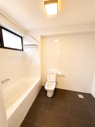 The Cairnhill (D9), Condominium #578507971